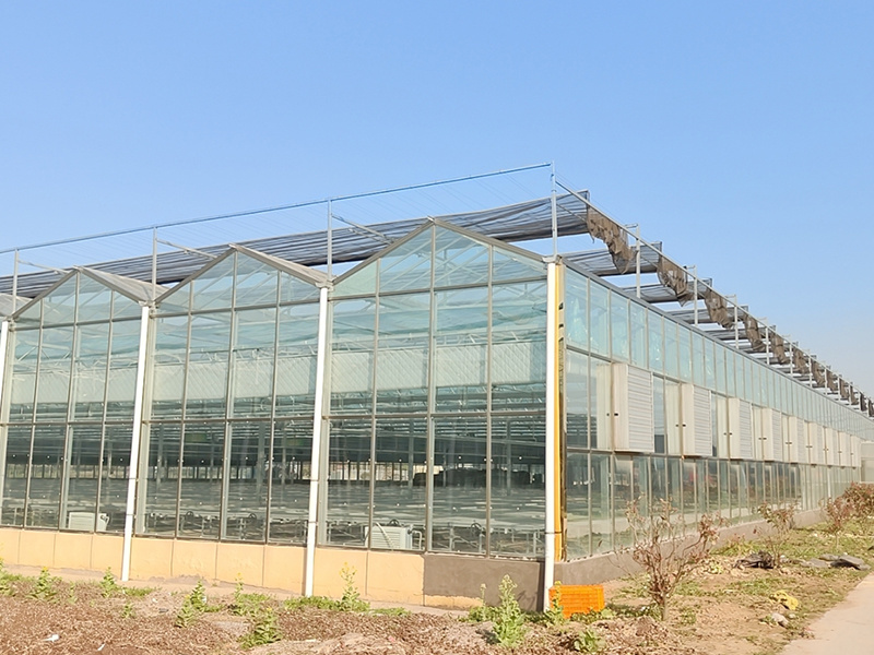 Glass greenhouse