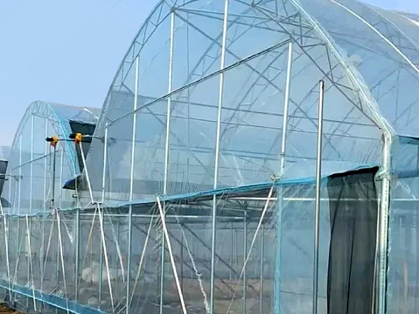 Sunshine panel greenhouse