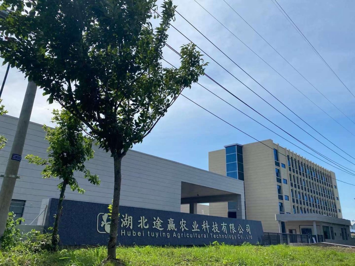 大门口