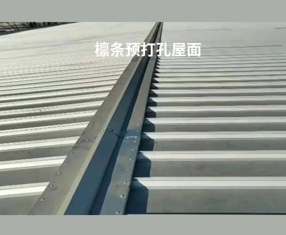 屋脊完工效果