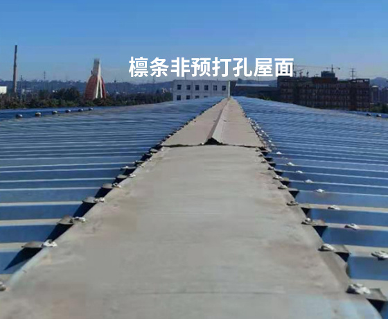 屋脊完工效果