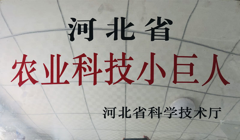 資質(zhì)榮譽(yù)
