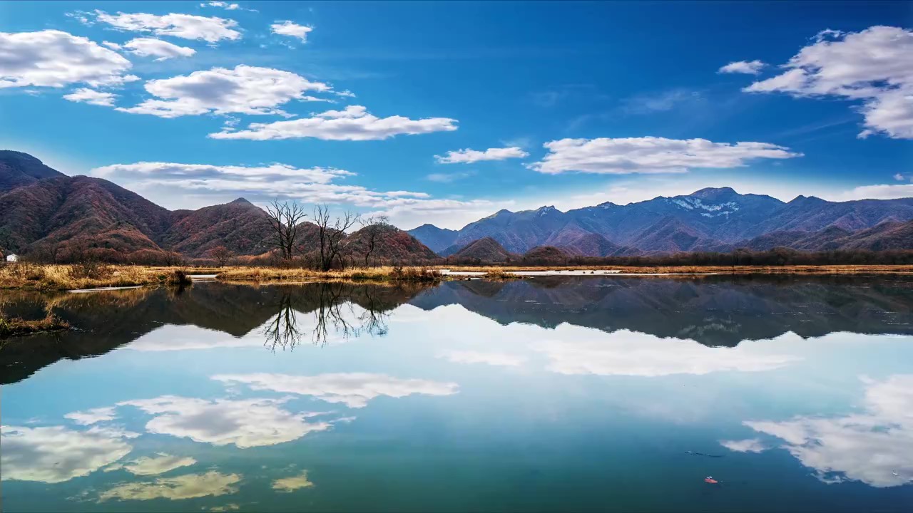 神农架森林