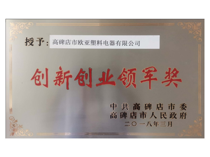 创新创业领军奖