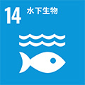 环境  Environmental