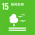 环境  Environmental