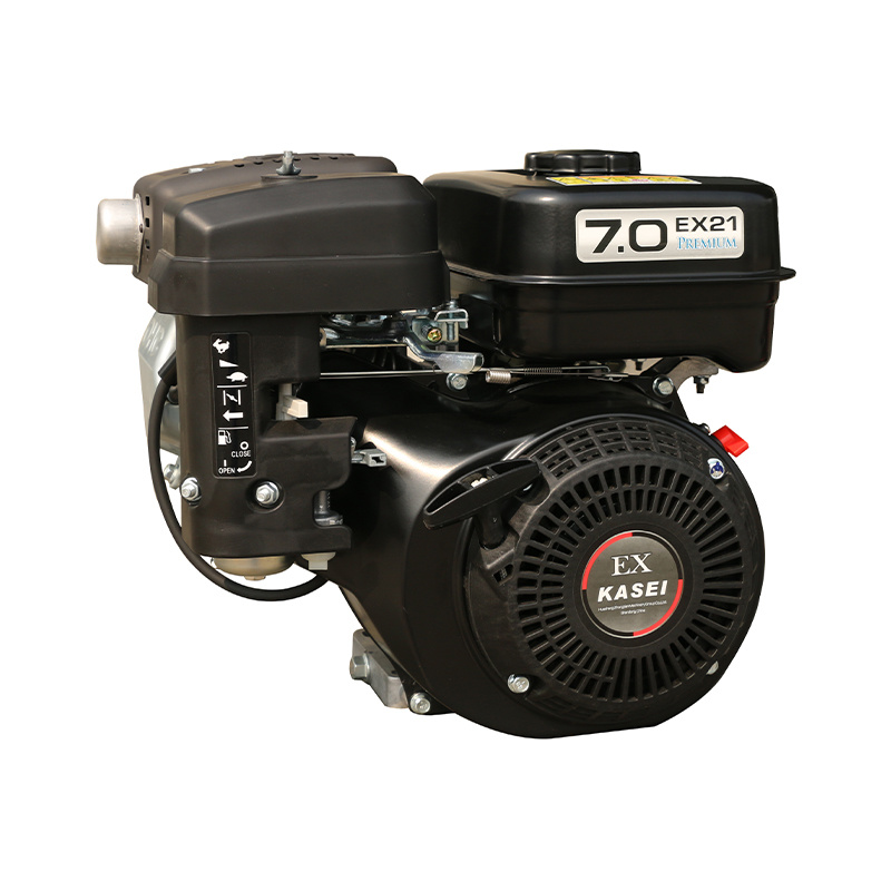 EX21
