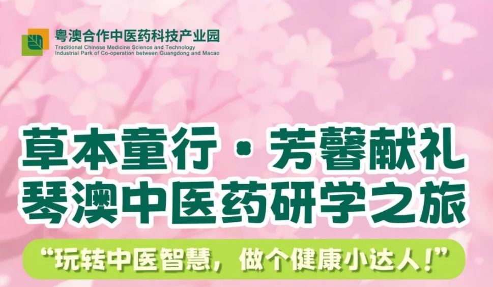 “草本童行·芳馨献礼”琴澳中医药研学之旅开课啦！