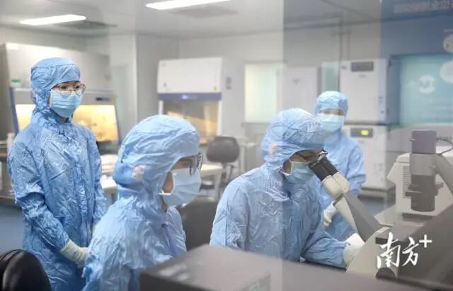 珠海横琴爱姆斯坦生物科技有限公司。