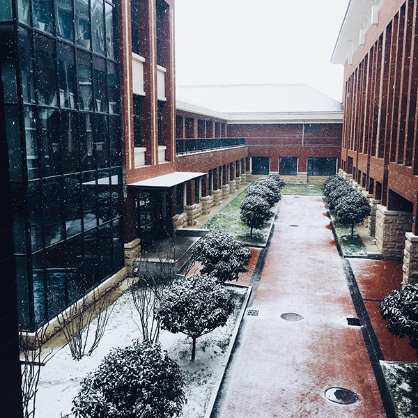 小雪紛飛