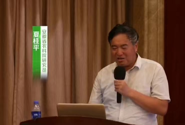 “兩精一抗”小麥超高產栽培技術示范測產現場會在宿州勝利召開！