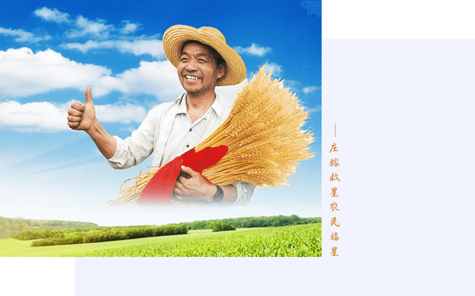 神農(nóng) 神農(nóng)