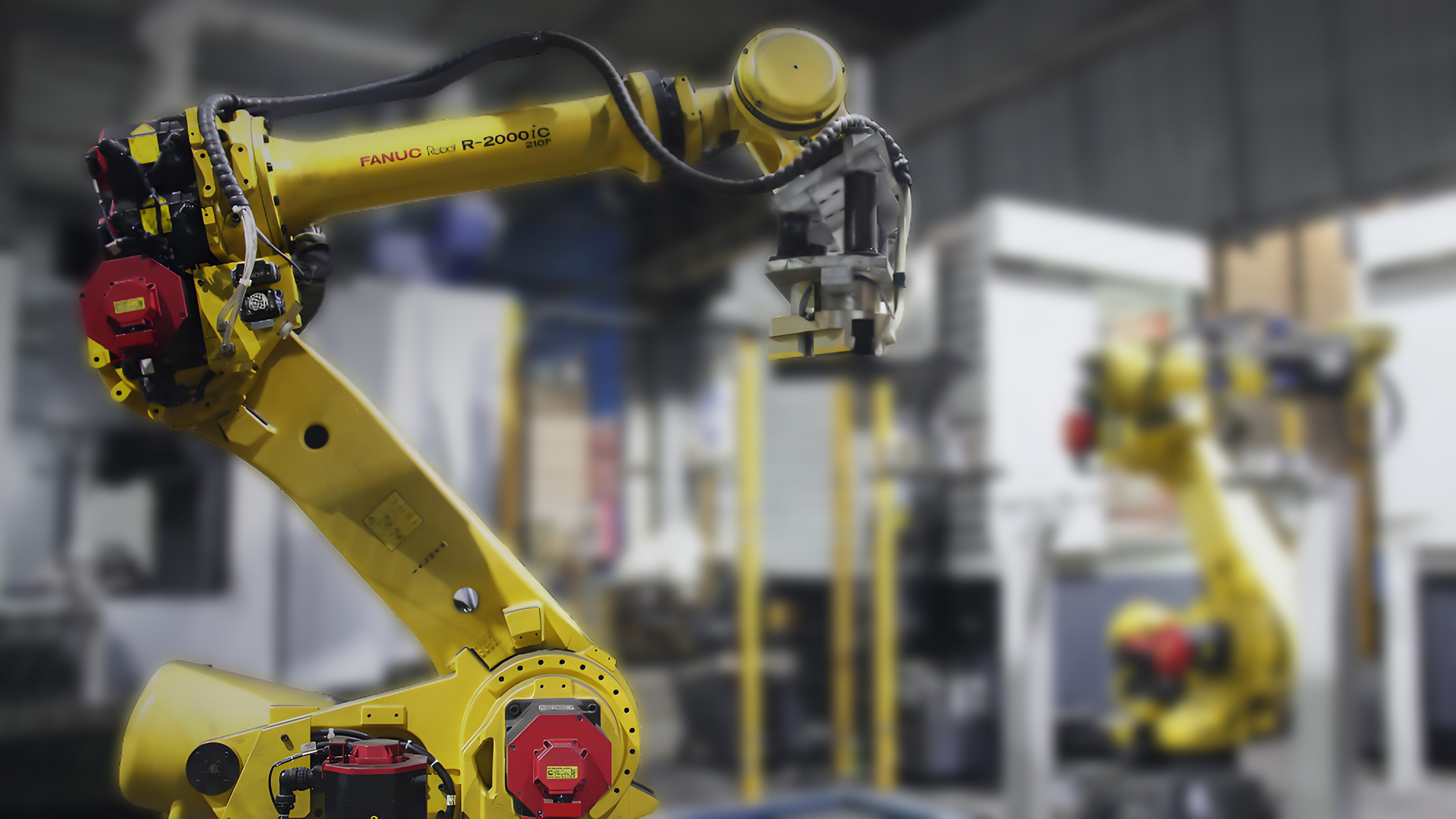 ADVANCED EQUIPMENT AND CUTTING-EDGE TECHNOLOGY