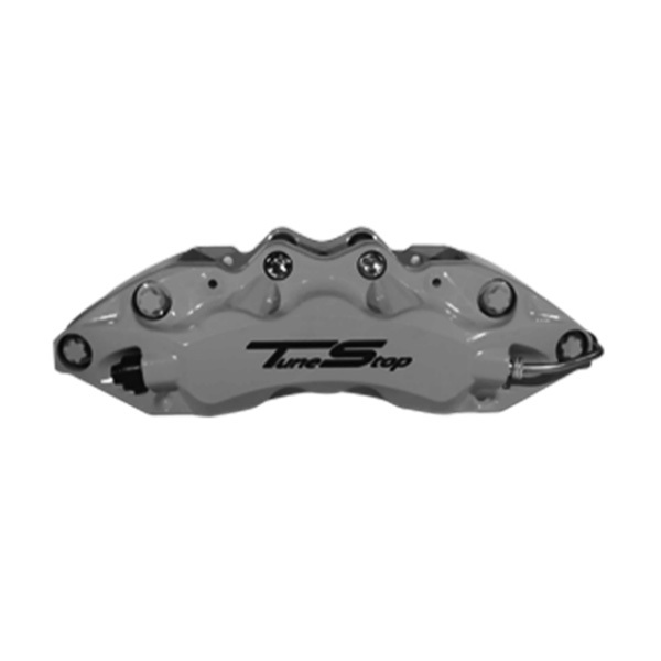 CALIPERS
