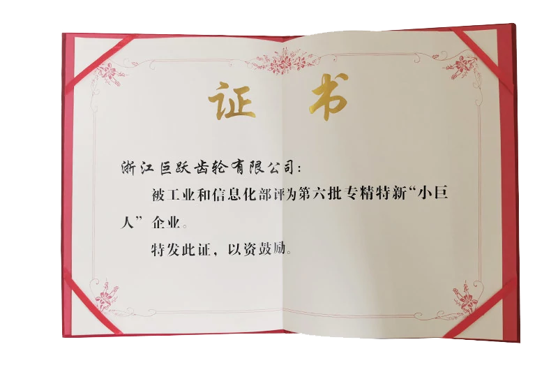 第六批国家专精特新“小巨人“企业 第六批国家专精特新“小巨人“企业