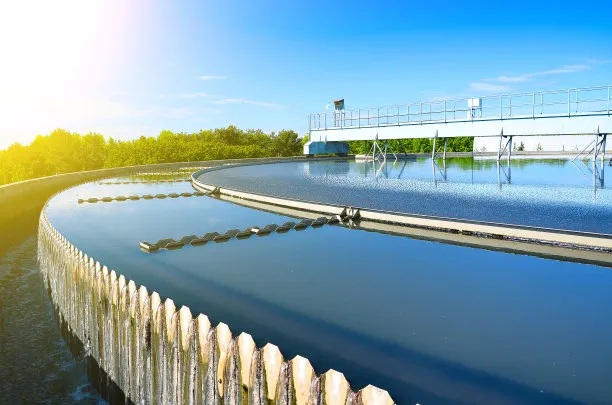 Performance and Treatment Requirements of SDG Adsorbents