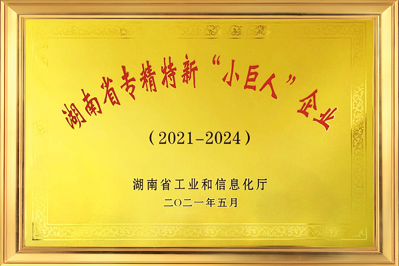 湖南省专精特新“小巨人”