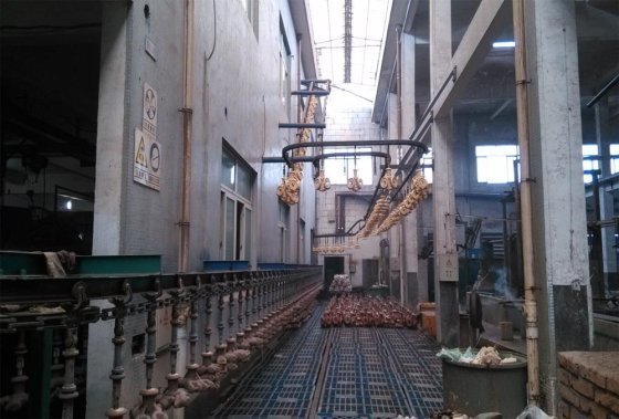 The characteristics of the China Mesh Belt Furnace
