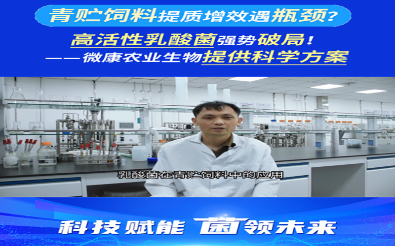 提质增效遇瓶颈？高活性乳酸菌强势破局！