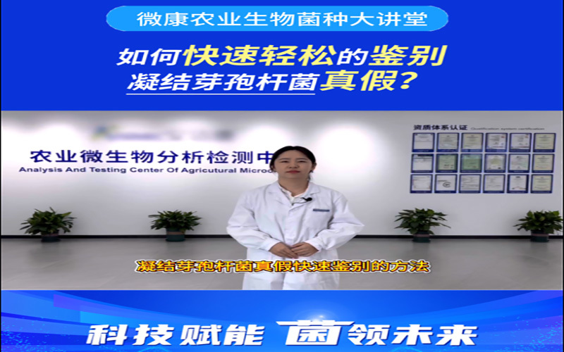 如何快速轻松的鉴别凝结芽孢杆菌真假？