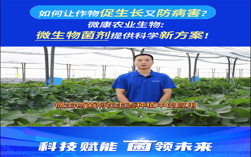 如何让作物促生长又防病害？