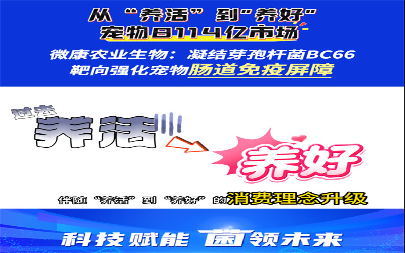 从“养活”到“养好”的宠物8114亿市场