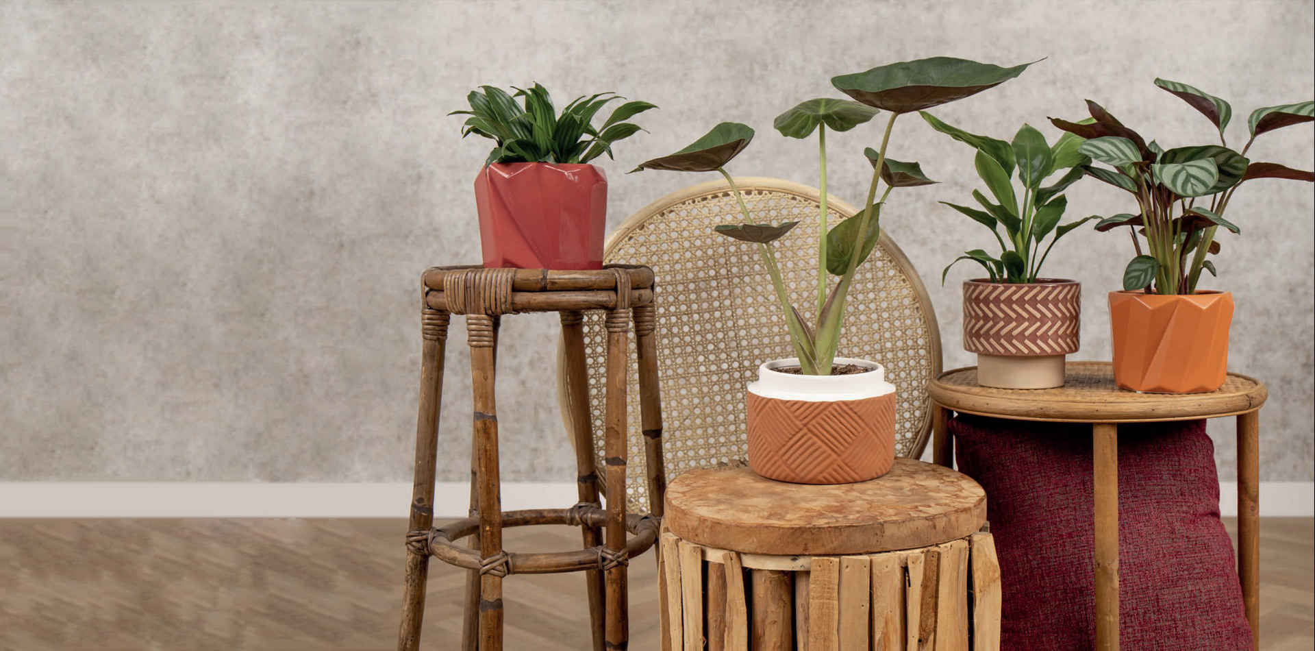 LONGHUA CERAMICS