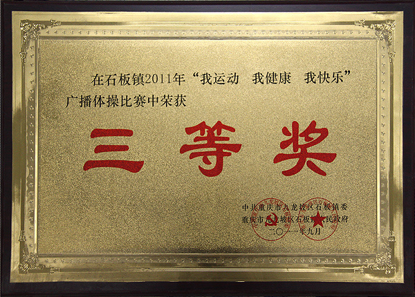 2011年榮獲三等獎(jiǎng)