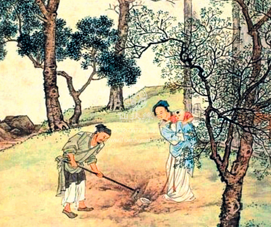埋兒奉母