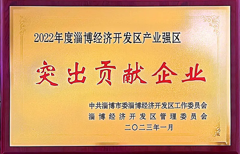 突出贡献企业
