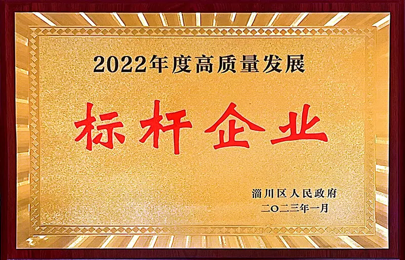 高质量发展标杆企业