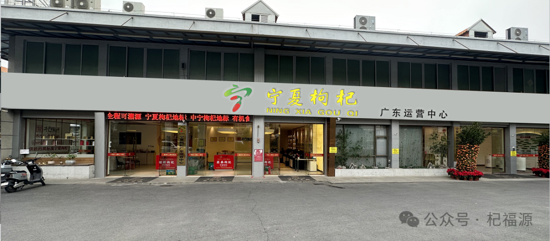 杞福源—把握当下，全力推广宁夏枸杞