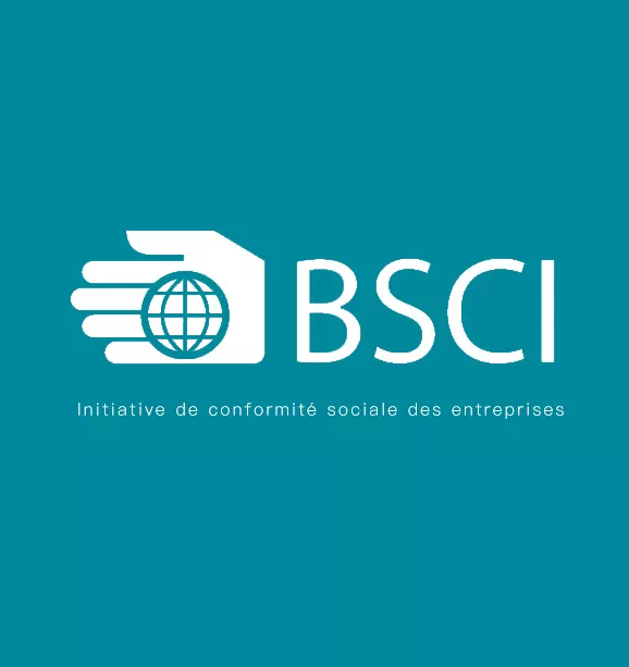 Initiative de Conformité Sociale des Entreprises 2020