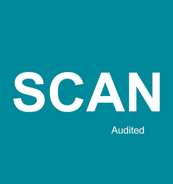AUDITORÍA DE SEGURIDAD SCAN (EN SITIO)