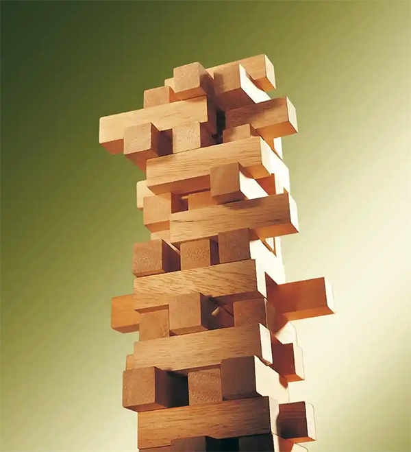 Organization Organization