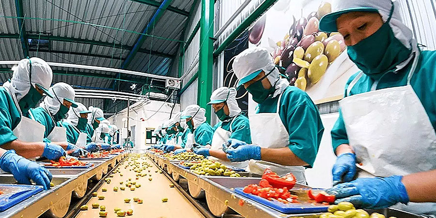 Food Industry Food Industry