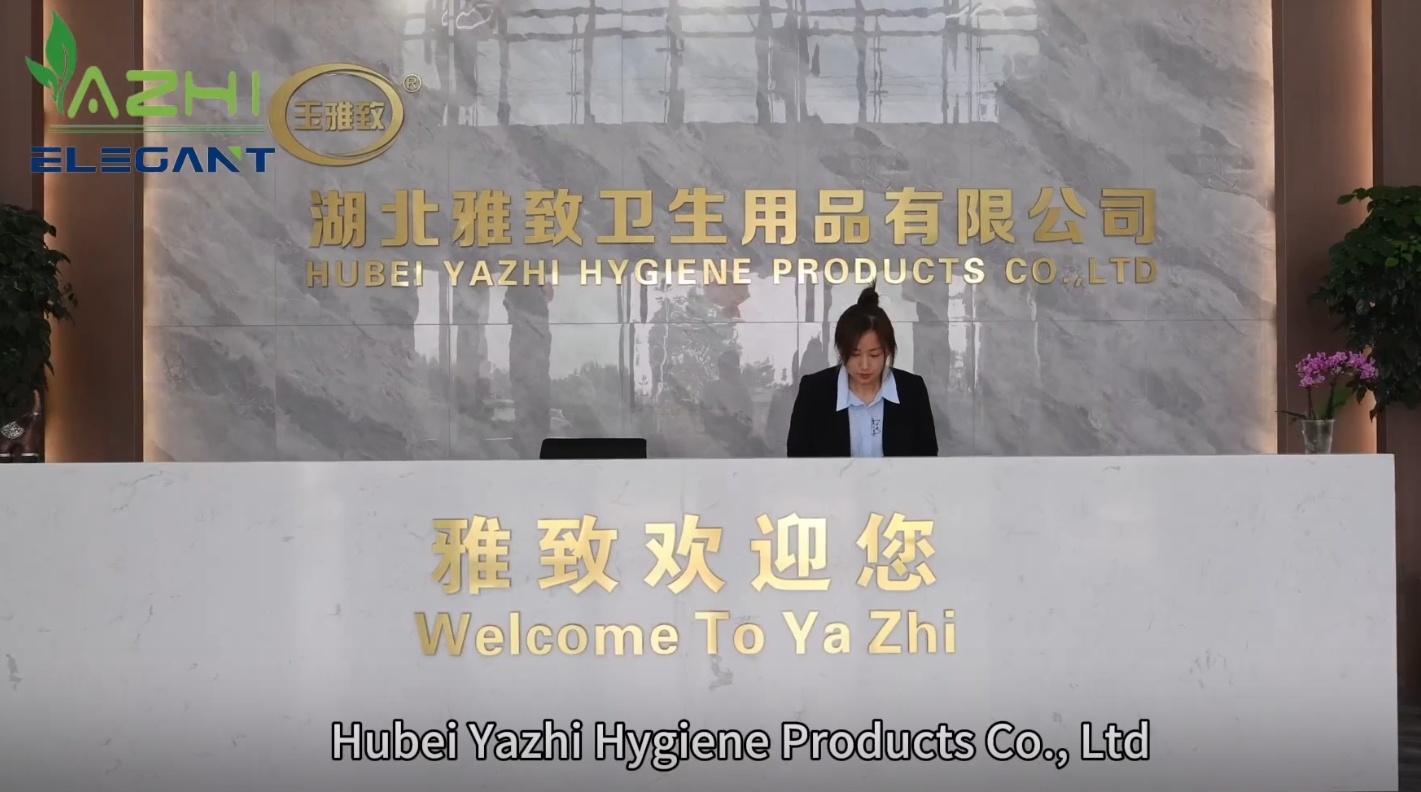 Corporate Video