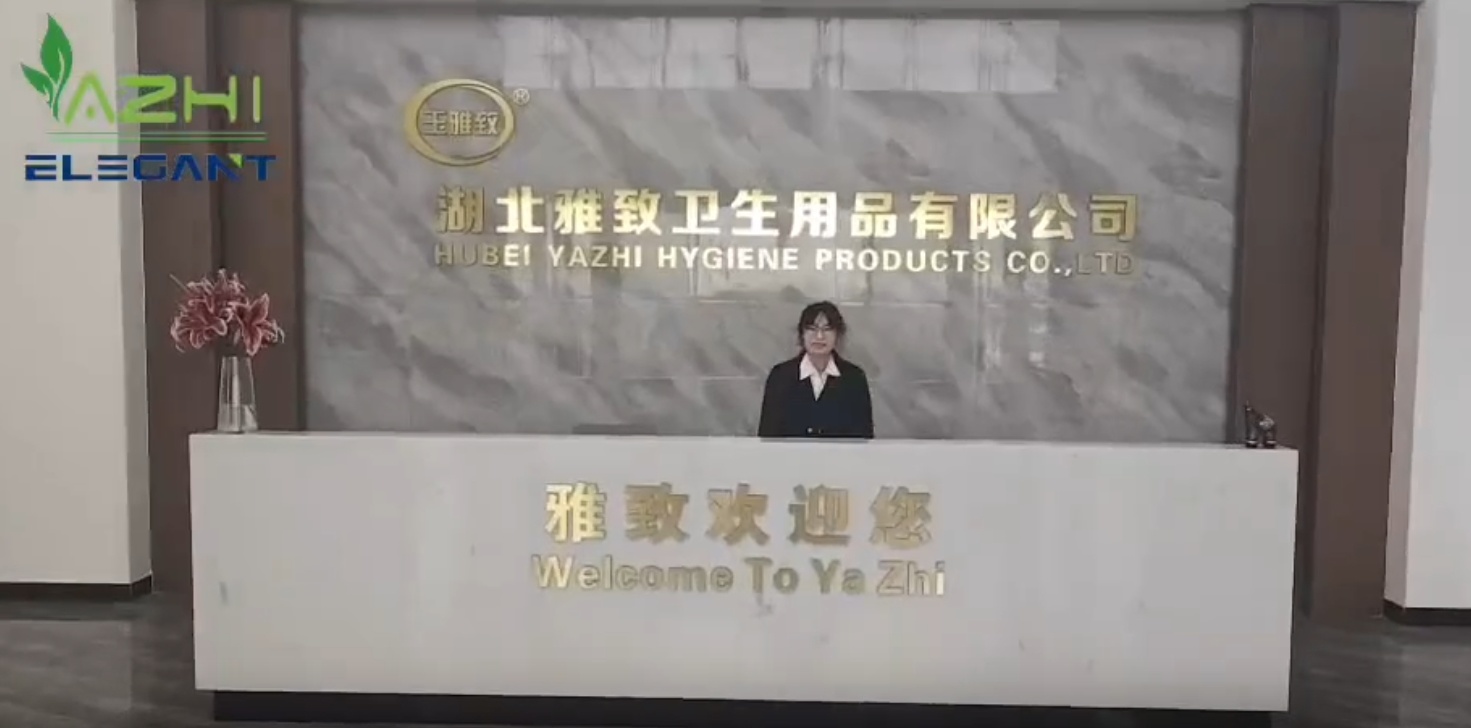 Corporate Video