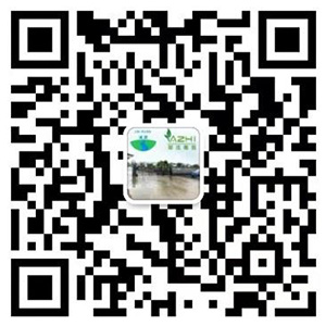 Wechat online