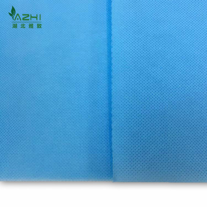 Blue PP Bed Sheet(2)