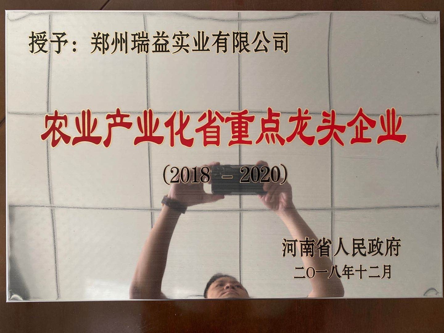 省級龍頭企業牌