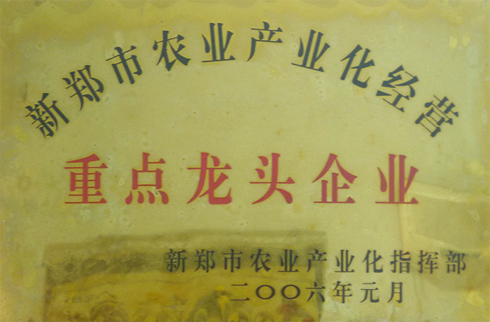 重點龍頭企業