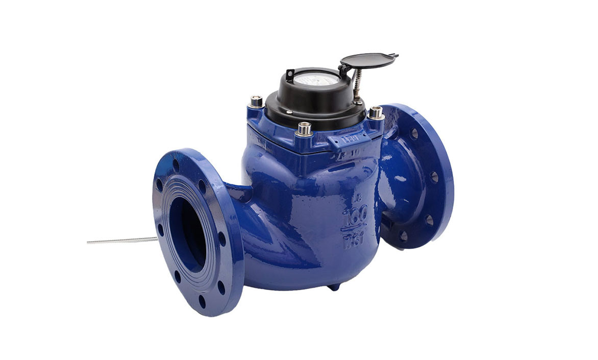 WS Vertical Propeller-Type Removable Water Meter