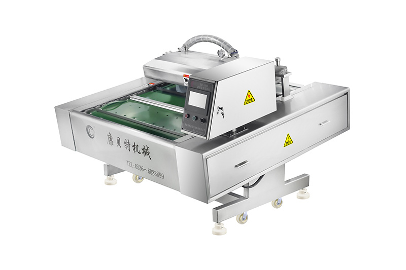 Máquina de embalaje continua totalmente automática DZ-1000 (sello simple)