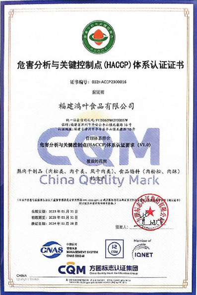 Certification Certificate Certification Certificate