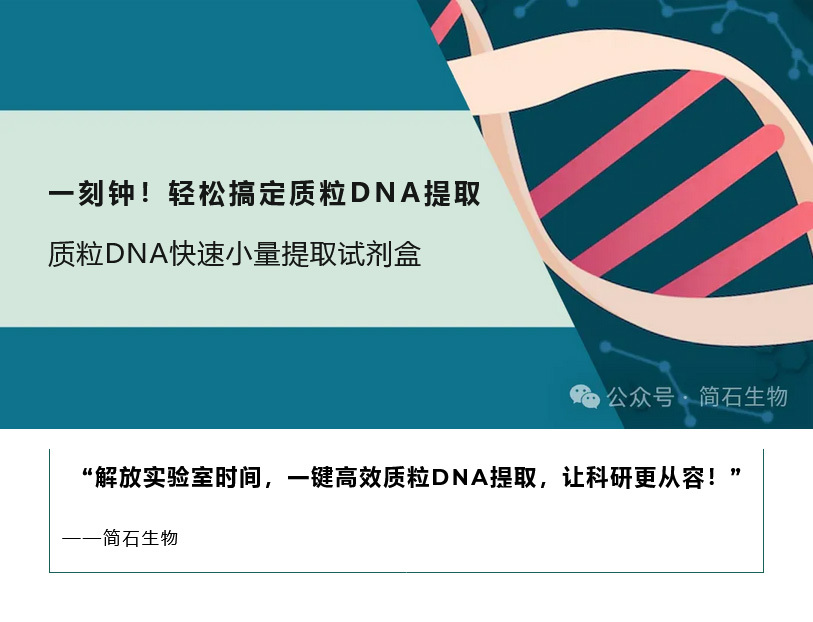 一刻钟！轻松搞定质粒DNA提取！