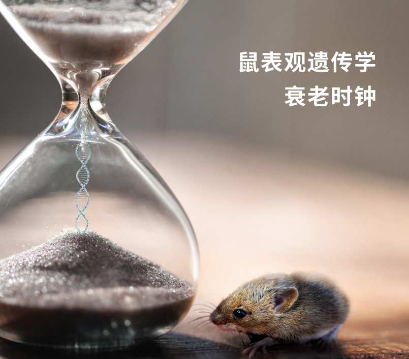 Dnage （表观年龄技术服务）