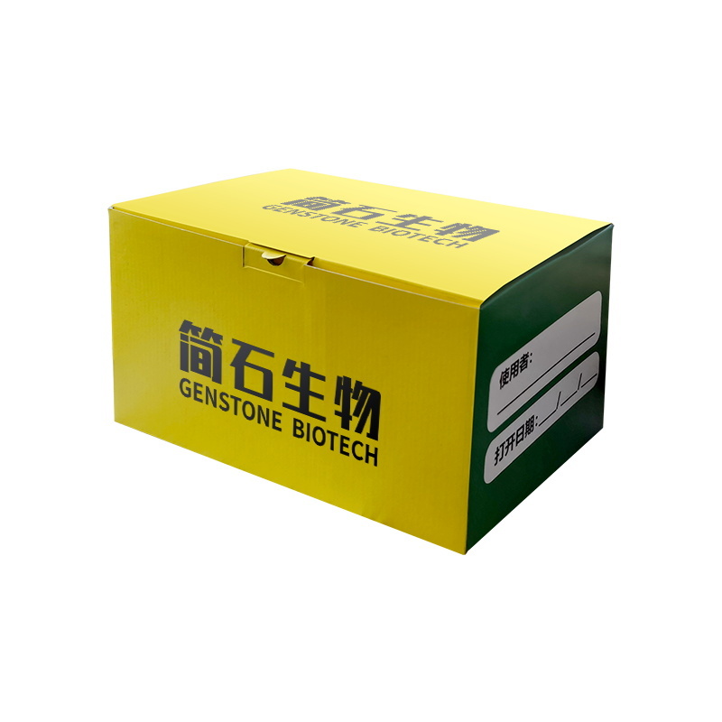 一步法荧光定量PCR试剂盒：定量快速车道，精准荧光导航！