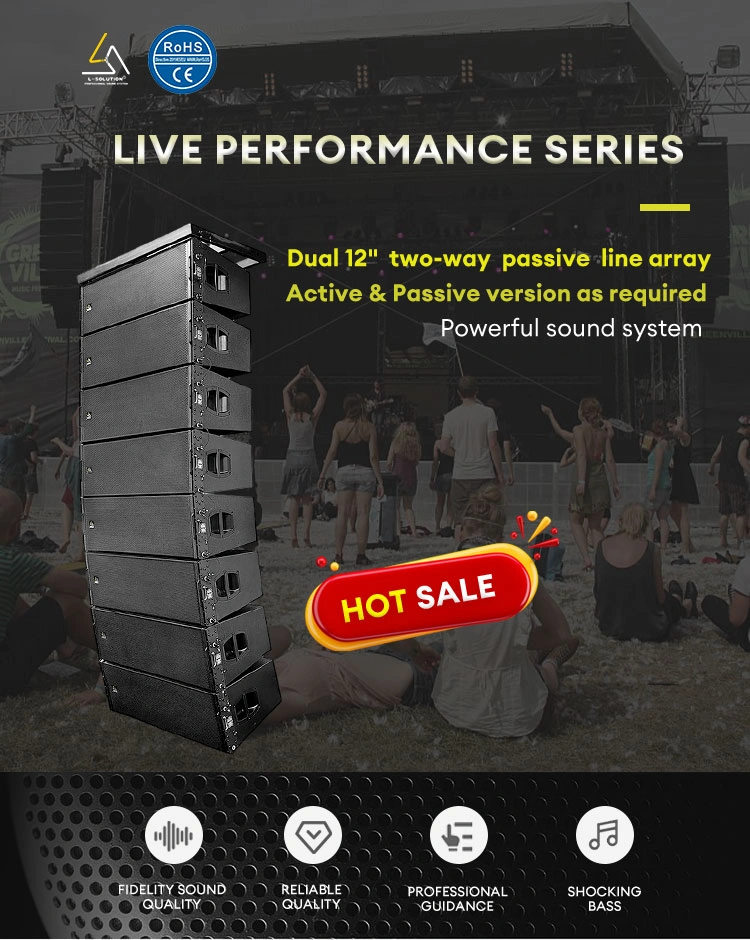 The LIVE PERFORMANCE SERIES features a dual 12" two-way passive line array, available in active or passive configurations, delivering powerful, high-impact sound tailored for dynamic stage performances.