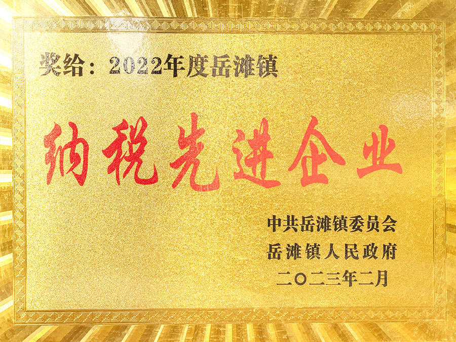 Advanced Tax-Paying Enterprises
